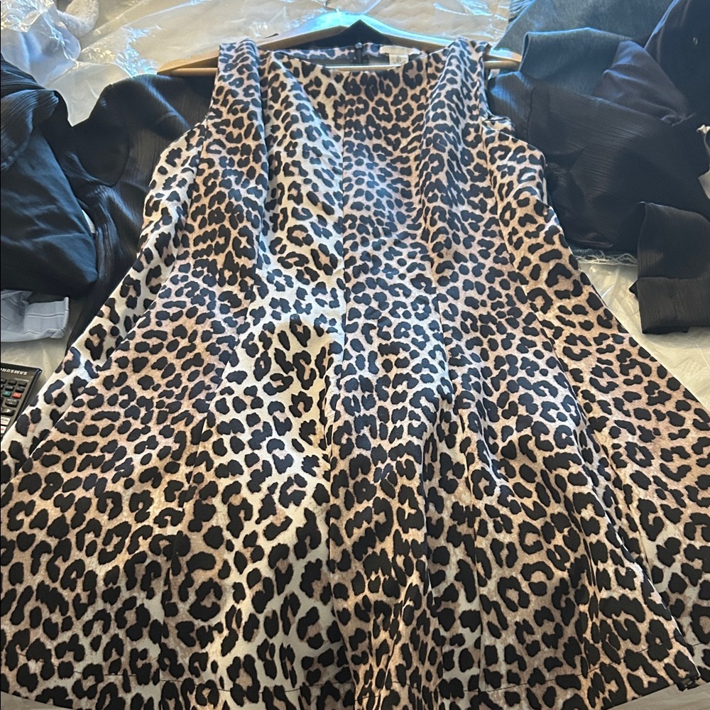 H&M Leopard Print Dress
